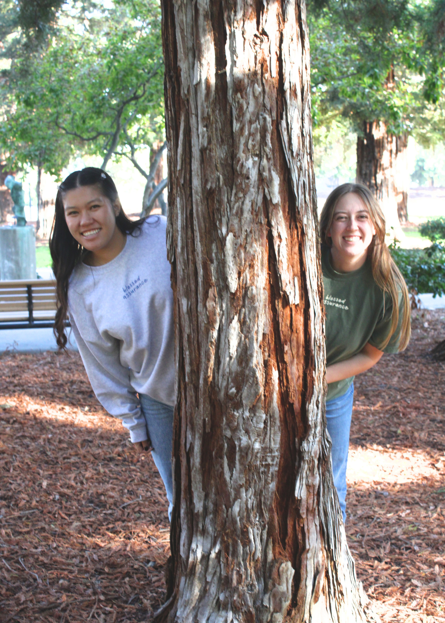 "Blessed Assurance" Hemp Premium Shirt